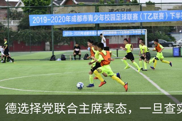 德选择党联合主席表态，一旦查实乌参与北溪管道爆炸，将面临后果
