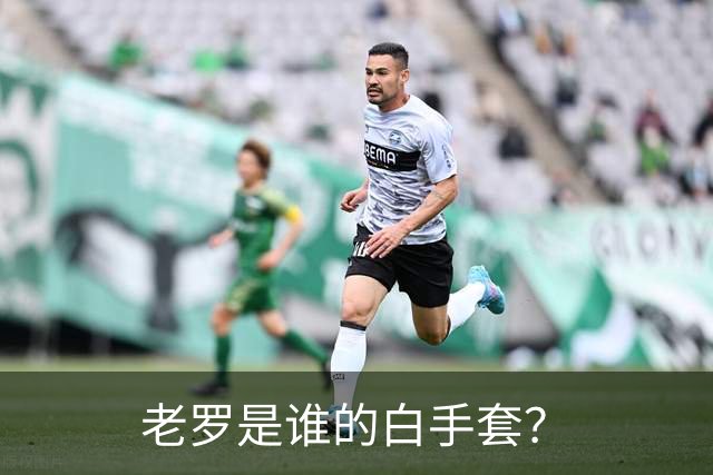 老罗是谁的白手套？